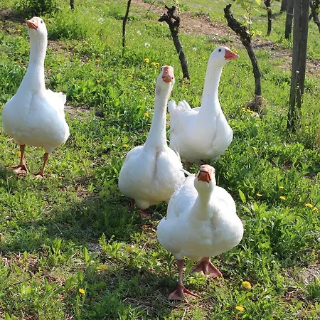 Farm stay Ca' Mariuccia *