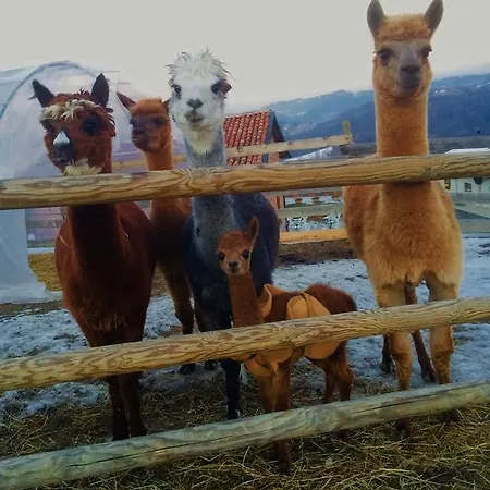 Vakantieboerderij Ca' Mariuccia *